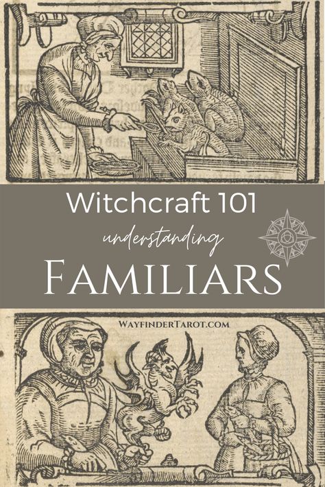 What a Witch's Familiar Is - and Isn't - Wayfinder Tarot A Witches Familiar, Witch’s Familiar, Familiars Witchcraft, Familiars Witch Animal, Witch Familiar Animals, Familiar Witchcraft, Familiar Spell, Witchy Names, What Is A Witch