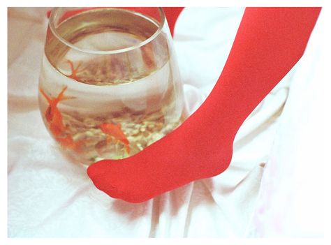 Light Leak Photography, Saltwater Aquarium Fish, Goldfish Bowl, Fishing Room, Editorial Photoshoot, Red Stockings, Light Leak, Fashion Photography Inspiration, Beautiful Fish