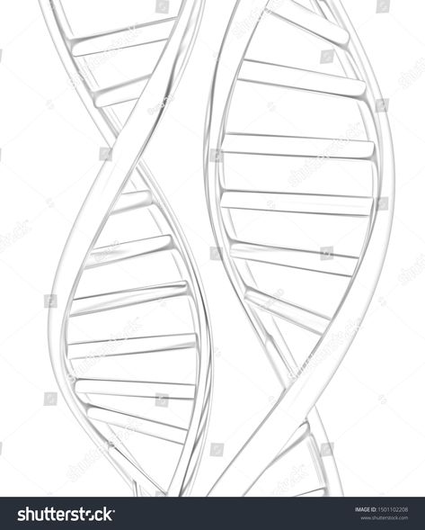 Dna Strand Drawing, Dna Structure Drawing, Dna Drawing Science, Dna Structure Model, Dna Drawing, Dna Structure, Science Drawing, Dna Art, Illustration Pencil