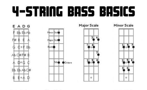 Bass Guitar, Four String, 4 String, Teaching, Lessons, Charts, Fretboard Diagrams, Intervals, Scales, Music Bass Guitar Basics, Bass Guitar Fretboard Chart, Bass Fretboard Chart, Bass Scales Chart, Bass Guitar Scales Chart, Learn Bass Guitar Beginner, Bass Guitar Theory, Bass For Beginners, Bass Chords For Beginners