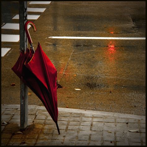 Red Brolly, Umbrella Photography, Umbrella Photo, Umbrella Art, Red Umbrella, Under My Umbrella, Focus Photography, Walking In The Rain, Singing In The Rain