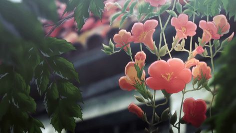 A language admirer — Flowers in korean Lo-fi Aesthetic, Anime Flower, Gif Background, Flowers Gif, Banner Gif, Anime Gifs, Spring Wallpaper, Plant Aesthetic, Aesthetic Gif