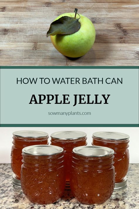 Water Bath Canning Apples, Apple Canning, Fall Canning, High Acid Foods, Water Bath Canning Recipes, Canning Apples, Homemade Apple Butter, Apple Jelly, Canned Apples