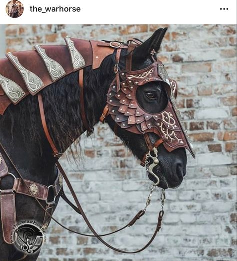 Inspirational Horse Quotes, Equestrian Aesthetic, Warrior Outfit, Horse Costumes, Horse Armor, Fantasy Horses, Western Horse Tack, Long Time No See, Horse Gear