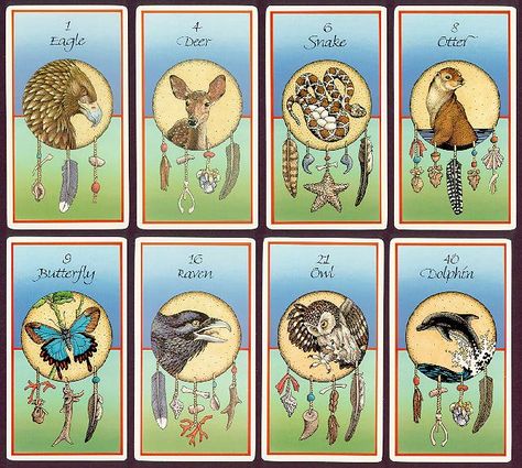 Medicine Cards by David Carson: A beautiful method of divination based on Native American animal totems + spiritual guidance Animal Medicine Cards, Medicine Cards, Animal Symbols, Nature Spirituality, Native American Animals, Magical Animals, Totem Animals, Reading Cards, American Card