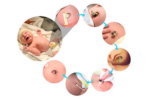 This Is How Your Baby’s Umbilical Stump Heals Umbilical Cord Care, Baby Umbilical Cord, Eye Test Chart, Umbilical Cord, Mom Junction, Baby Belly, Body Organs, After Baby, Newborn Care