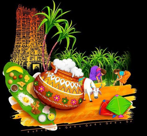 Makara Sankranthi Images In Kannada, Sankranthi Background Hd, Pongal Images Pictures, Pongal Images In Tamil, Pongal Celebration Drawing, Makara Sankranthi Images, Pongal Celebration Decoration, Pongal Designs, Pongal Photos