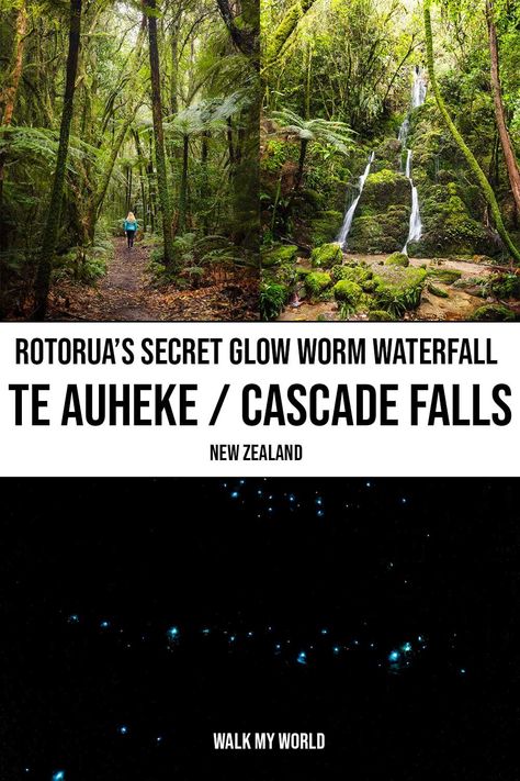 Cascade Falls: Rotorua's secret glow worm waterfall — Walk My World Glow Worms New Zealand, Royal National Park Sydney, New Zealand Glow Worm Caves, Wichita Falls Texas, Glow Worm, West Virginia Waterfall Trail, Dantewada Land Of Angels Waterfall Park, Cascade Falls, Bay Of Plenty