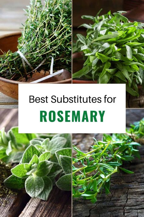 Preparing a delicious meat recipe but you’ve run out of rosemary? Click here to learn about six amazing substitutes that you can use instead. Marjoram Substitute, Chicken Ranch Pasta, Summer Savory, Buffalo Chicken Pasta, Meat Seasoning, Tender Chicken Breast, Sausage Dishes, Salmon And Rice, Food Substitutions