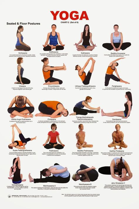 Maybe your doctor, chiropractor, physical therapist, or best friend  told you Yoga would be good for you.  You have heard so much about Yoga... Yoga Sitting Pose, Sitting Yoga Poses For Beginners, Sitting Yoga Poses, Yoga Chart, Yoga Poses Chart, Seated Yoga Poses, Yoga Abs, Beginner Yoga, Yoga Nature