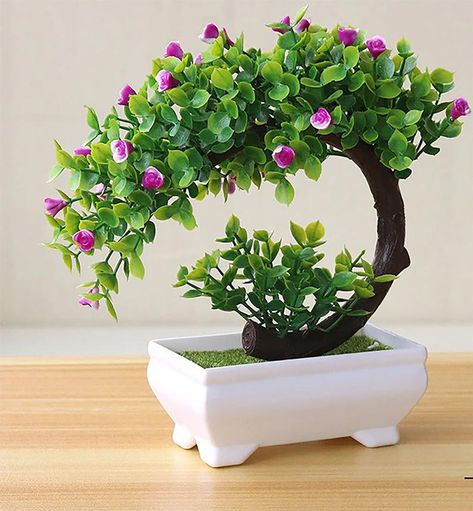 Chinese Plants, Tree Pot, Novelty Lamps, Mini Bonsai, Advertising Gifts, Pot Plants, Aloe Plant, Garden Fountains, Fake Plants