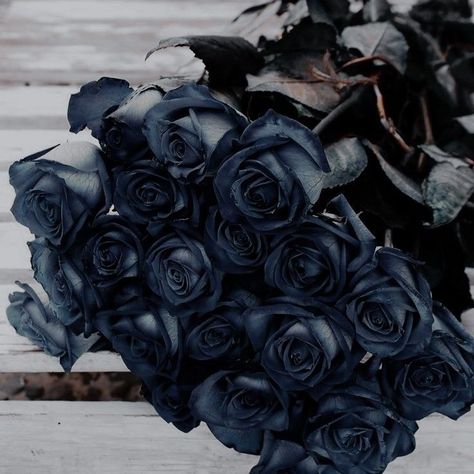 Caitlyn Snow, Corpse Bride Wedding, God Of Ruin, Dark Blue Flowers, Killer Frost, Rosé Aesthetic, Black Roses, Gothic Aesthetic, Corpse Bride