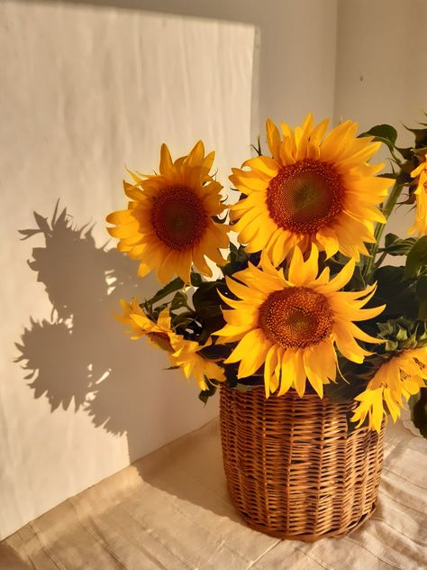 Sunflower Wedding Favors, Small Yellow Flowers, Sunflower Photography, Sunflowers And Daisies, Flower Gift Ideas, Nothing But Flowers, Sunflower Art, Beautiful Bouquet Of Flowers, Floral Photography