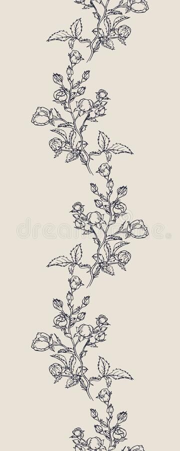 Rose Border Drawing, Backdrop Illustration, Drawn Rose, Roses Drawing, Floral Backdrop, Flower Illustration, Botanical Illustration, Botany, Rose Flower