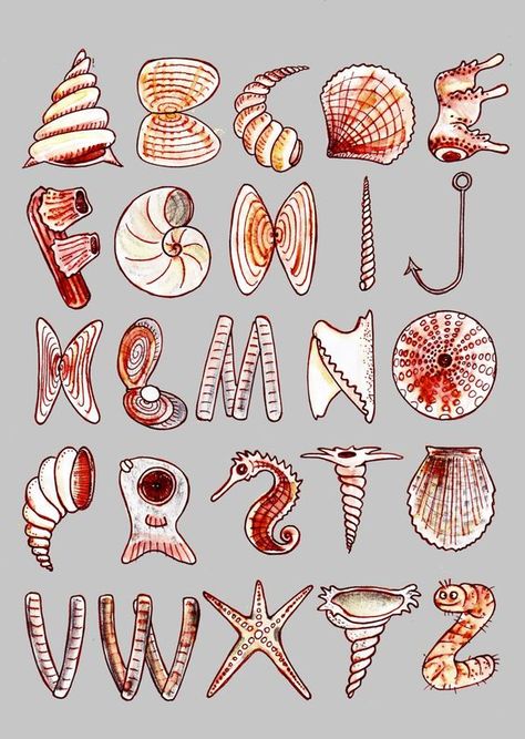 Design Museum on Twitter: "#DidYouKnow #CharlottePerriand got many of her design inspirations from the natural forms she collected on the Normandy coast, collecting anything she could find, from shells to driftwood. Tomorrow's #FontSunday from noon is dedicated to the beach. 🏖️ #PerriandLiving… https://t.co/ZRG6suOnJ4" Ocean Fonts Alphabet, Coastal Typography, Ocean Letters, Ocean Typography, Type Hierarchy, Ocean Font, Ocean Alphabet, Simple Alphabet, Fonts Dafont