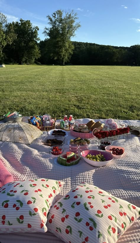 Picnic Asthetic Pics, Girls Picnic Ideas, Picnics Aesthetics, Cute Picnic Ideas, Girly Picnic, Rapunzel Wedding Theme, Strawberry Picnic, Picnic Date Food, Picnic Vibes