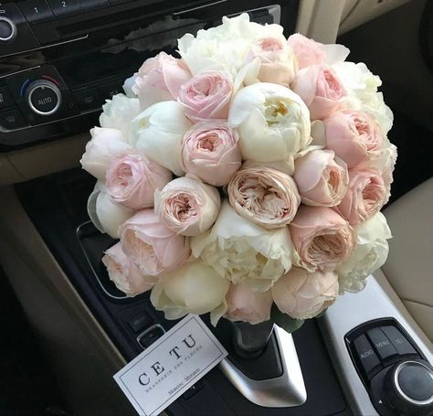 Peony Bouquet Wedding, Bridal Bouquet Flowers, Boquette Flowers, Peony Wedding, Dream Wedding Ideas Dresses, Flower Therapy, Peonies Bouquet, Beautiful Bouquet Of Flowers, Wedding Preparation