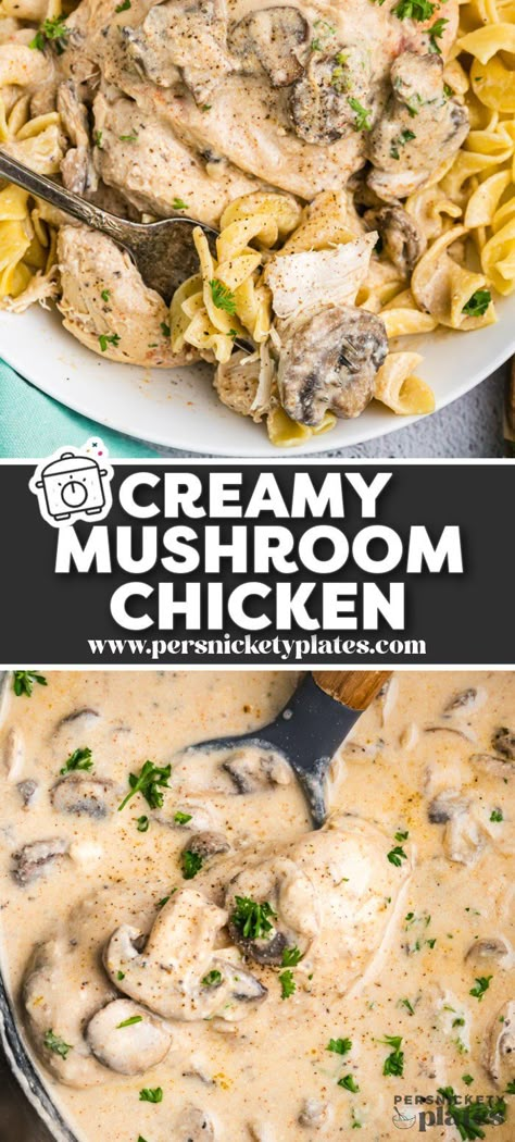 Slow Cooker Mushroom Chicken has chicken in a creamy mushroom gravy cooked in the crockpot and ready to serve over rice, noodles or potatoes. Crock Pot Chicken Mushroom, Slow Cooker Chicken Low Carb, Crock Pot Chicken With Cream Of Mushroom, Slow Cooker Chicken With Gravy, Crockpot Mushroom Chicken, Chicken Mushroom Crockpot, Chicken And Mushroom Crockpot Recipes, Crockpot Chicken And Mushrooms, Crockpot Cream Of Chicken Recipes