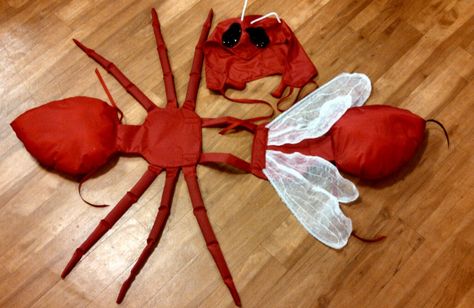 Red Ant Costume for little kids. Halloween by SilverGirlArtistry Earth Costume, Ant Costume, Halloween Costume Black, Kids Halloween Costume, Red Ant, Black Ants, Costumes Kids, Book Week Costume, Head Ties