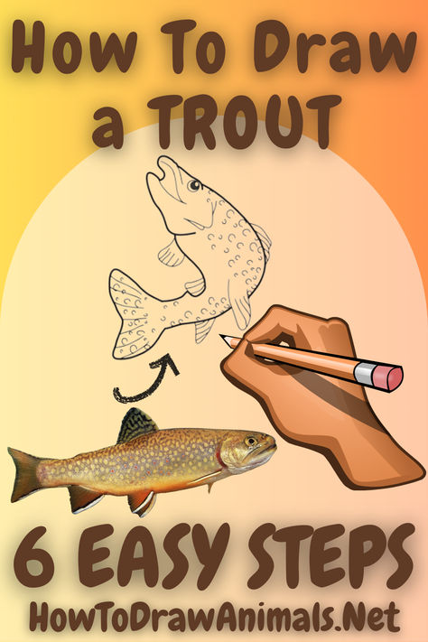 Master Drawing Trout with Our Step-by-Step Guide – Bring the Exquisite Details and Fluid Movement of These Iconic Fish to Life! Watercolor Trout Tutorial, Sea Trout, Rainbow Trout Drawing, Fishing Doodles, Trout Illustration, Fishing Art Drawing, Trout Drawing, Fish Sketches, Trout Painting