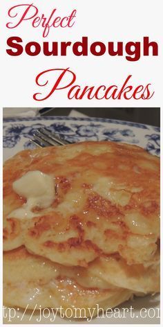 Sourdough Starter Pancakes, Dough Starter Recipe, Savory Cakes, Sourdough Bread Starter, Sourdough Pancakes, Sourdough Starter Discard Recipe, Bread Starter, Sourdough Starter Recipe, Sour Dough