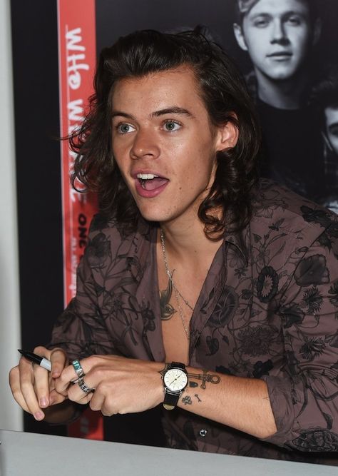 Harry Styles Button Up Shirt, Prince Harry Styles, Harry Styles Eyes, Harry Styles Hair, Princ Harry, Prince Hair, Tiny Bag, Harry Styles Cute, Haikou