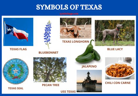 Texas has a rich culture and heritage, evident in the many unique symbols that represent it. From animals, to trees, plants and food, here's a look at some of the most iconic symbols that represent Texas. Symbols Of Texas, Texas Facts, Texas Images, Texas Symbols, Uss Texas, Explore Texas, Blue Lacy, State Symbols, Iconic Symbols