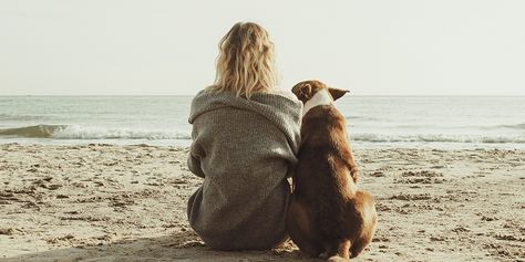 Hugging Dog, Woman And Dog, Elderly Dogs, Woman Sitting, Dog Care Tips, Healthy Pets, Dog Beach, Dog Leads, Senior Dog