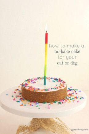 Cake For Cats, Dog Cake Recipes, Birthday Cake For Cat, Sugar Frosting, Doggie Treats, Bake Cake, Dog Cakes, Cakes To Make, Dog Cake