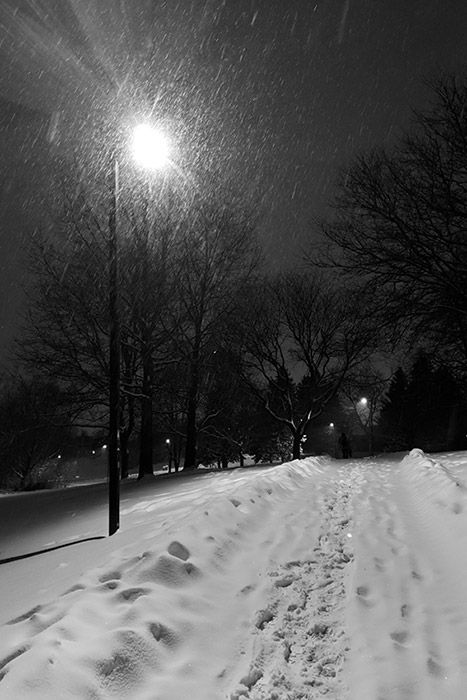 Hyperpop Wallpaper, Nature Black And White, Outside At Night, Dark Outside, Snow Outside, Sunrise City, Snow Night, I Love Winter, Winter Photo