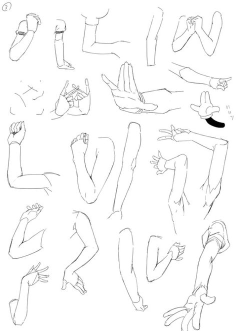 Drawing help/reference- arms Anime Arms Reference Female, Arm Up Reference, Arm Up Pose, Arm Art Reference, Bent Arm Reference, Anatomy Arms, Arm References, Arms Reference, Anime Arms