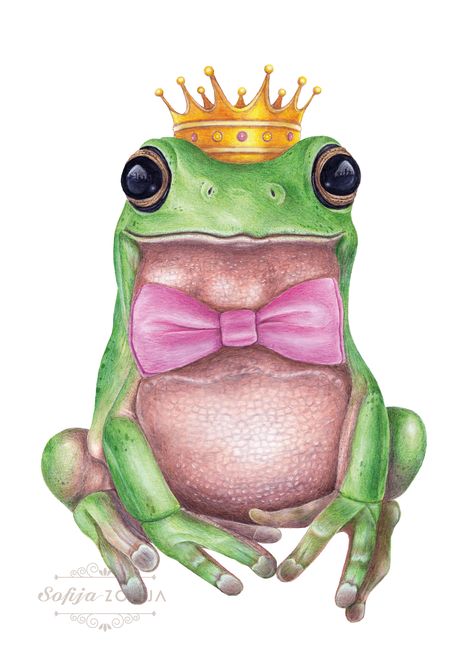 This illustration is an INSTANT DOWNLOAD in many different sizes. ♡ A detailed illustration of a frog is handmade with colored pencils and watercolors illustrated by the SofijaZofija.
#frog #frogking #frogart #frogillustration #froglover #king #prince #greenfrog #crown Sketch Frog, King Sketch, Prince Drawing, Frog Sketch, Crown Illustration, Crown Drawing, Frog Wallpaper, Frog Illustration, Frog Tattoos