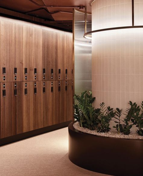 Gym Hotel Design, Spa Changing Room Design, Spa Locker Room Design, Gym Changing Room Design, Gym Lobby Design, Luxury Locker Room, Spa Changing Room, Spa Locker Room, Gym Changing Room