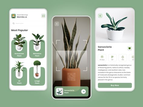 Plant Identification App, Plant App, Sansevieria Plant, Plant Window, App Interface Design, Plant Identification, Web Project, It Services, Monstera Plant