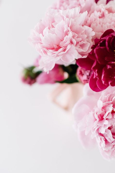 pink peonies Pink Peony Centerpiece, Pink Peonies Background, Peony Meaning, Pink Peonies Wallpaper, Peonies Background, Pink Peonies Wedding, Pink Peonies Bouquet, Peonies Centerpiece, Peony Wallpaper