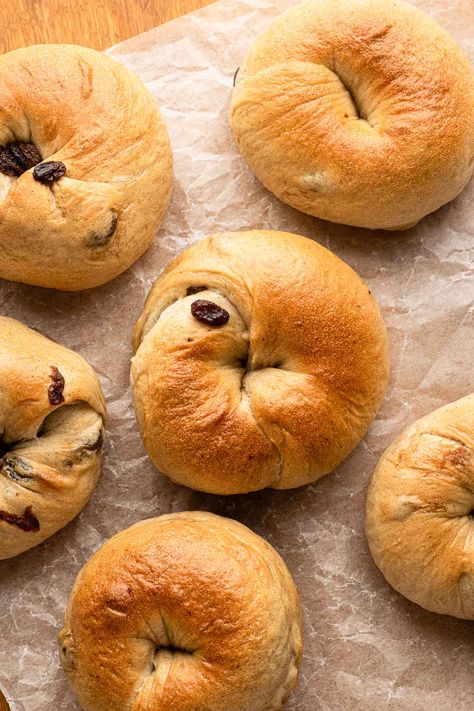 Cinnamon Raisin Bagels, Types Of Bagels, Raisin Bagels, Bagels Recipe, Cinnamon Raisin Bagel, Sweet Red Bean Paste, Chewy Bread, New York Bagel, Cinnamon Ice Cream