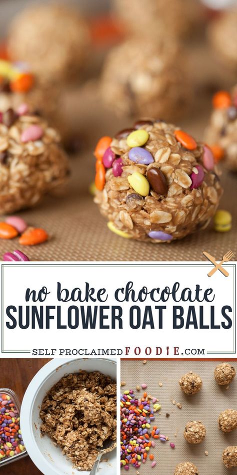 Nut Free Kids Snacks, Protein Snacks For Kids, Oat Balls, Chocolate Sunflower, Nut Free Snacks, High Fiber Snacks, Fiber Snacks, Nut Free Recipes, Healthy Nuts