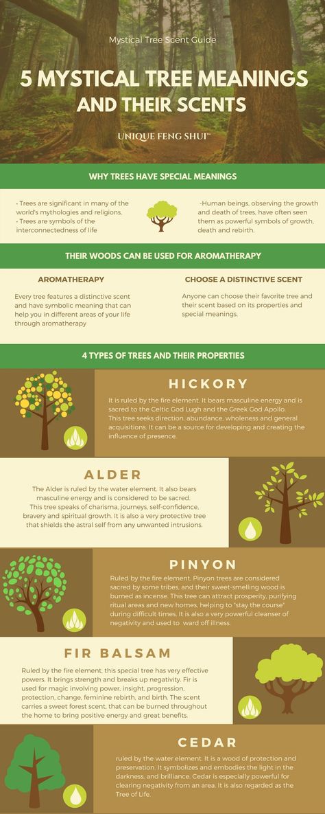 Trees And Their Meanings, Trees Meanings, Alder Tree Tattoo, Cedar Meaning, Tree Symbolism, Tree Meanings, Hickory Tree, Alder Tree, Witchcraft Spells For Beginners