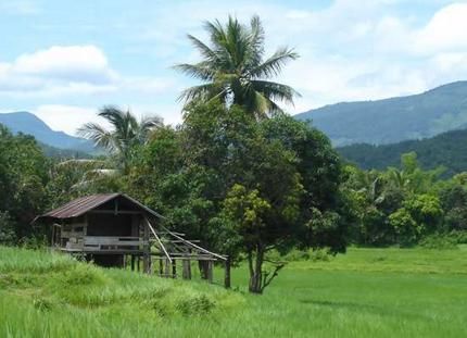 Images of the Philippino Countryside | Introduction to Laos Rural Philippines, Rural Houses, Rural House, Countryside House, Music Man, Rural Area, Slice Of Life, Travel Bucket List, Travel Bucket