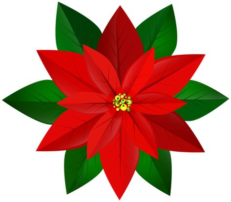 Xmas Pictures, Red Poinsettia, Bell Decorations, Emoji Images, Poinsettia Flower, Christmas Poinsettia, Pinturas Disney, Free Clipart, Christmas Holly