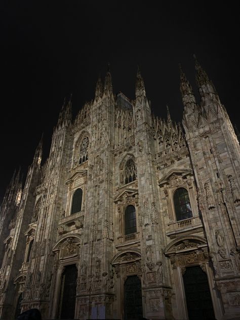 Cathedral Photography, Goth Architecture, Gothic Gargoyles, Real Vampires, Cemetery Statues, Milan Cathedral, Alt Aesthetic, Gothic Buildings, Dark Castle