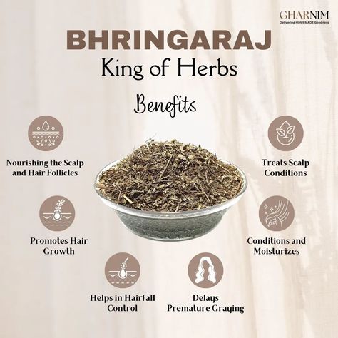 Bhringraj (Eclipta alba), often referred to as the "King of Herbs" for hair care, is highly valued in Ayurveda for its numerous benefits for hair health. ✨️ Benefits of Bhringraj for Hair ✨️ 🌿 Promotes Hair Growth: Bhringraj is renowned for its ability to stimulate hair growth. It increases blood circulation to the scalp, which helps in nourishing the hair follicles and promoting new hair growth. 🌿 Prevents Hair Loss: Regular use of Bhringraj can help reduce hair fall. Its nourishing pro... Bhringraj Benefits, Herbs Magic, Ayurveda Hair Care, Herbs For Hair, Herb Containers, Prevent Hair Fall, Hair Care Recipes, Plant Medicine, Reduce Hair Fall