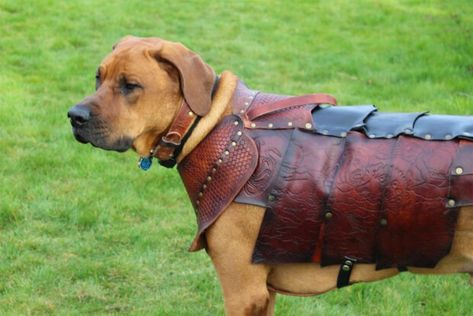 Treat Your Dog to a Custom Leather Suit of Armor Simple Armor, Cat Armor, Dog Armor, Armor Ideas, Dog Snood, Viking Costume, Dog Fleece, Animal Costumes, Leather Ideas