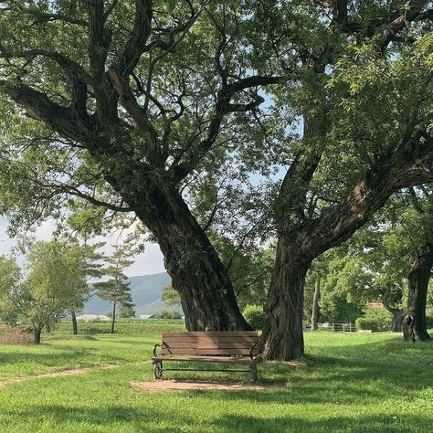 Taman Vintage, Green Scenery, Grass Field, Cottagecore Aesthetic, Alam Yang Indah, Nature Aesthetic, Green Grass, Pretty Places, Green Aesthetic