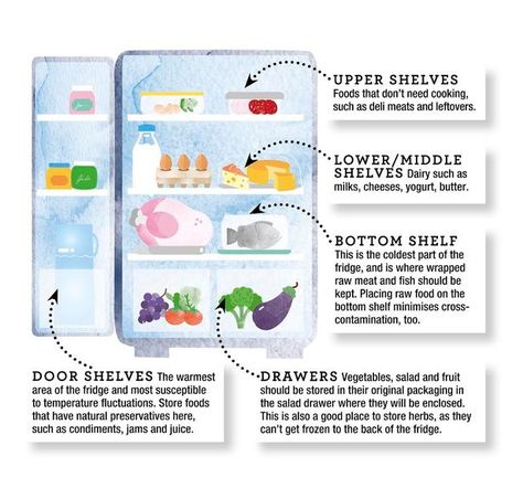 Food Spoilage, Fridge Top, Deli Meats, Fridge Storage, Kitchen Organisation, Refrigerator Storage, Hygienic Food, Fridge Organization, Door Shelves