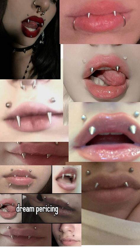 Kitten Bites Piercing, Percinings Ideas, Face Piercings Women, Chest Piercings For Women, Piercing Ideas Face, Peircings Women, Cute Piercing Ideas, Piercing Combos, Tiger Oc