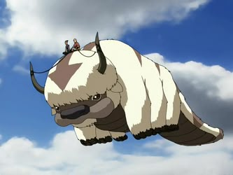 Appa Avatar, Kyoshi Warrior, Avatar Picture, Tv Tropes, Avatar The Last Airbender Art, Team Avatar, Fire Nation, Avatar Airbender, Avatar Aang