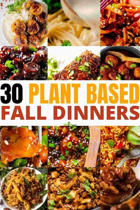 30 Plant Based Fall Weeknight Dinners Veggie Packed Fall Dinners, Fall Dinner Vegetarian Recipes, Crockpot Recipes Plant Based, Plant Based Fall Meals, Plant Based Fall Dinner Recipes, Fall Veggie Meals, Cozy Fall Meals Vegetarian, Fall Comfort Food Vegetarian, Vegan Dinner Fall Recipes