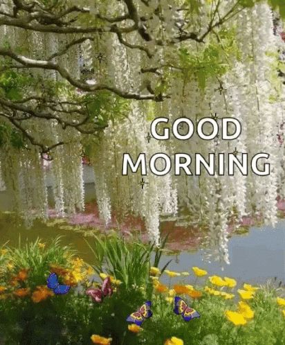 Good Morning Forest GIF - Good Morning Morning Forest - Discover & Share GIFs Spring Gif, Good Morning Gif Images, Morning Forest, Good Morning Nature Images, Good Morning Animated Images, Good Morning Gifs, Morning Gifs, Good Morning Wishes Gif, Good Morning Dear Friend