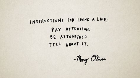 "Instructions for living a life:  Pay attention. Be astonished. Tell about it." -Mary Oliver Mary Oliver Quotes, Mary Oliver Poems, Pastel Quotes, Poetry For Kids, Lovely Quotes, Mary Oliver, Teacher Quotes, Writing Quotes, Blackbird